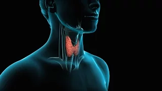 Thyroid Surgery (Thyroidectomy)