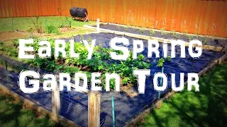 Early April Spring Garden Tour: The Garden is Full