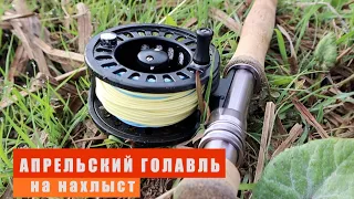 Весенний голавль на нахлыст! Flyfishing