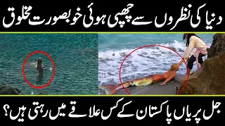 Reality of Mermaid explained in urdu hindi | Mystery of mermaid in hindi  Urdu Cover documentary