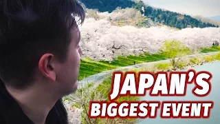 Experiencing Japan's Biggest Annual Event | Cherry Blossom Season