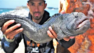 The Most GROTESQUE and ENORMOUS EEL I've EVER CAUGHT! + Catch and Cook!!