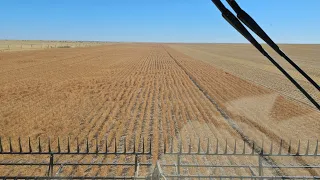 Lentils & X9 Issues