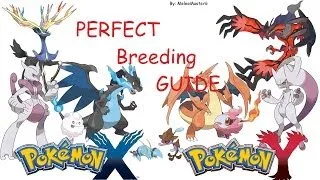 Pokémon X & Y - Perfect Breeding Guide