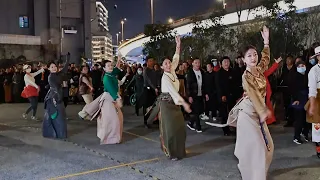 Tibetan dance 《吉祥锅庄》