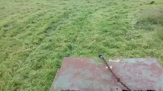 International Harvester 674 Topping (Cab View)