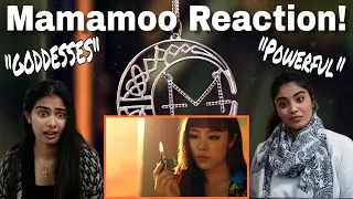 MAMAMOO (마마무) - 'Egotistic (너나 해)' 반응! | 딜미&베니타