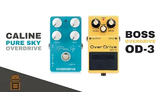 Caline Pure Sky Overdrive vs Boss OD-3 Overdrive | No Talk Pedal Demo