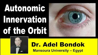 Autonomic Innervation of the Orbit, Dr Adel Bondok