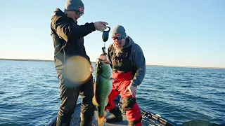 16.4 Pound BIGGEST Texas Bass EVER Caught on Film