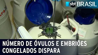 Número de óvulos e embriões congelados dispara no Brasil | SBT Brasil (22/08/22)