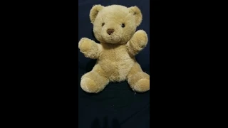 Mr Bear 1999