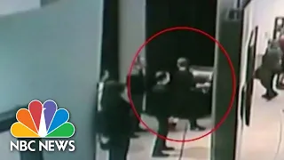 Audacious Thief Steals Painting From Moscow Museum In Broad Daylight | NBC News