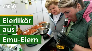 Eierlikör selber machen: Bäuerin Nina sucht Eier! Hofgeschichten #5 | Sommer | Unser Land | BR