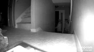 Residential Burglary Surveillance Video
