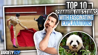 Top 10 | Common Questions With Fascinating Explanations/Questions With Answers