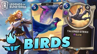 A-well, a Bird, Bird, Bird, Bird is the word | Legends of Runeterra | Standard | Neeko Lux Garen