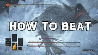 Dark Souls 3 Ashes of Ariandel DLC - How to Beat The Champion's Gravetender BOSS