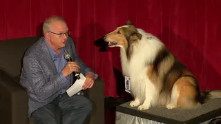 Lassie Interviewed Before Lassie Come Home (1943)