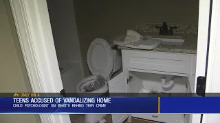 Teens Accused Of Vandalizing Home