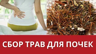 8 трав для ваших почек