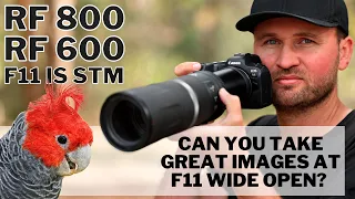 Canon RF 800 & 600mm F11 IS STM - Just A Gimmick Or Can You Take GREAT Images At F11 Wide Open!?