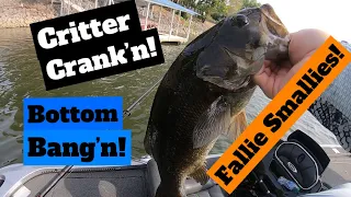 Bass Fishing the TVA!  How to catch Multi species on Creature Bait!  (Rod/Reel/Gear setup)