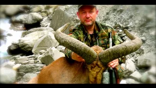 Tur hunting Azerbaijan