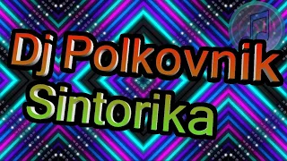 Dj Polkovnik/Диджей Полковник - Sintorika