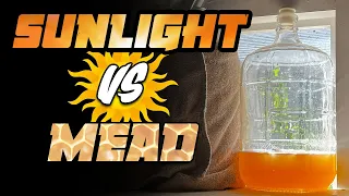 Sunlight vs Mead Making | Uncovering the Truth |