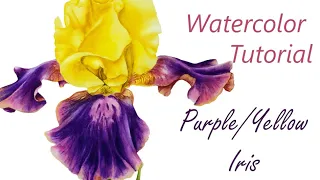 Iris Watercolor Tutorial - Creating depth in your painting
