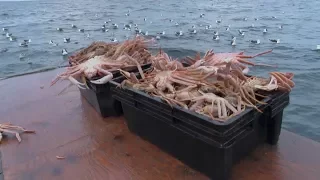 Paqtnkek Snow Crab Fishery