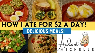 HOW TO EAT DELICIOUS FOOD FOR $2 A DAY! | EXTREME GROCERY BUDGET CHALLENGE