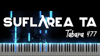 Suflarea Ta - Tabara 477 - Instrumental Pian - Negativ Pian - Tutorial