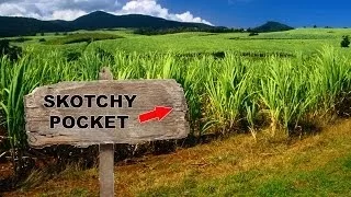 Yowie / Bigfoot Sighting (Audio Report #36) at Scotchy Pocket, Queensland