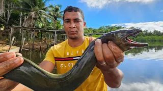 CATCHING BLUE CRAB AND MORAEY (caramuru) WITH A TRAP IN THE MANGROVE