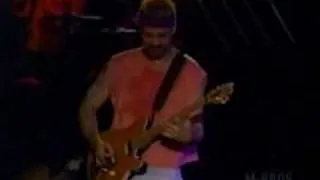 Van Halen - amsterdam (live 1995)