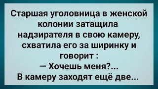 Старшая в Женской Колонии Затащила Надзирателя в Свою Камеру! Сборник Свежих Анекдотов! Юмор!