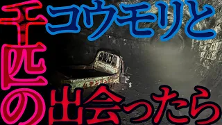 闇のツーリズム 廃トンネルはコウモリ地獄！ 岐阜県