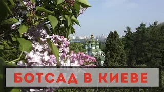 Ботанический сад в Киеве: наша прогулка