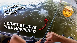 I CANT BELIEVE this HAPPENED! | Sheepshead Fishing in Gulf Shores Alabama