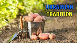 How We Sowing Potatoes In Ukraine