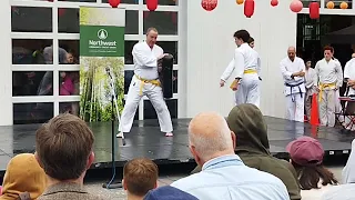 Karate Tang Soo Do Demo Kicking