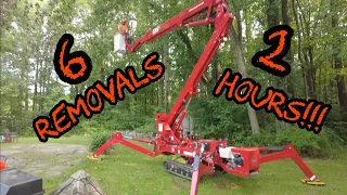 #399 Removing 6 Trees in 2 Hours with a Spider Lift