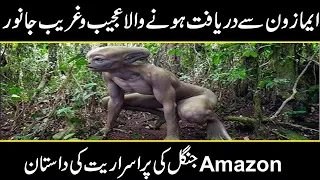 10 Terrifying Creatures Of The Amazon jungle | MOST DANGEROUS ANIMALS OF AMAZON | Urdu Cover