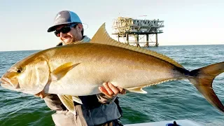 Fishing for Giant Amberjacks and Tuna on Oil Rigs