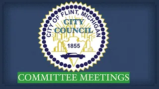 030821-Flint City Council & Special Affairs-Final