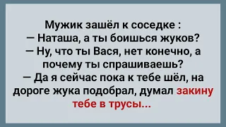 Мужик Закинул Жука Соседке в Трусы! Сборник Веселых Анекдотов! Юмор!