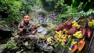 Survive alone in the deep forest | Meet a wild banana tree with delicious ripe fruit!