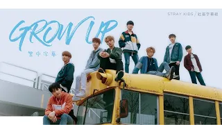 ｜社畜中字｜Stray Kids - Grow Up (SKZ2020)｜